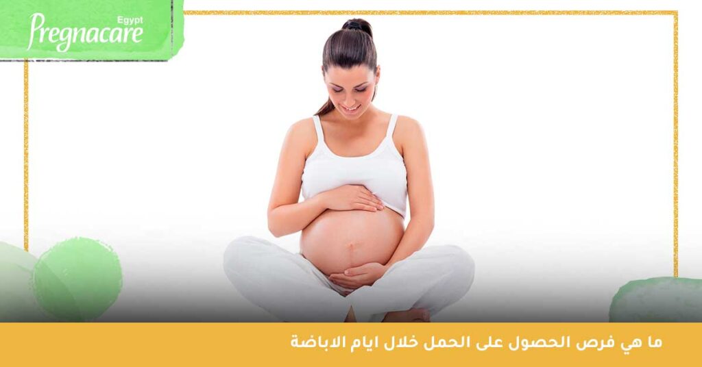 ما هي فرص الحصول على الحمل خلال ايام الاباضة