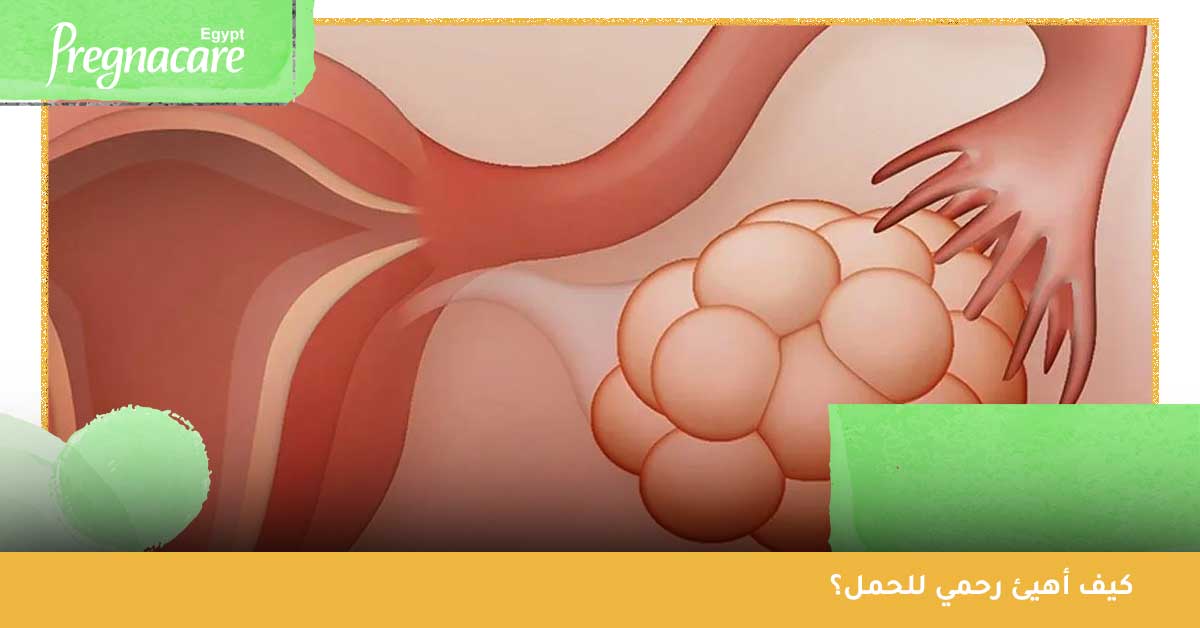 كيف أهيئ رحمي للحمل؟