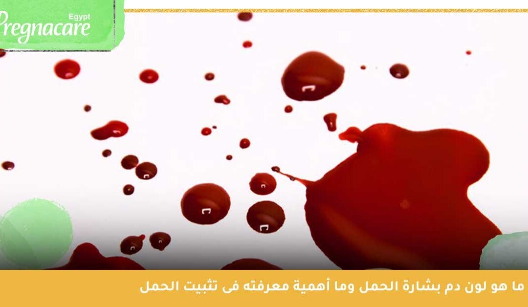 ما هو دم بشارة الحمل وما أهمية معرفته فى تثبيت الحمل ؟