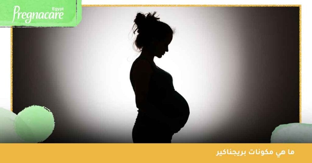 ما هي مكونات بريجناكير