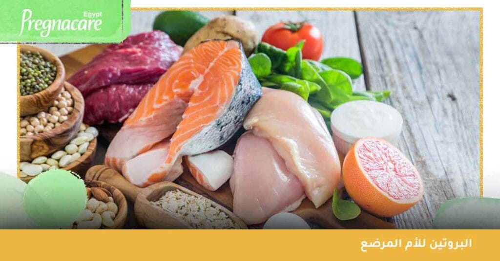 البروتين للأم المرضع