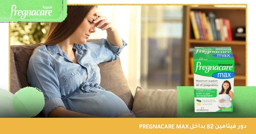 دور فيتامين B2 بداخل Pregnacare Max