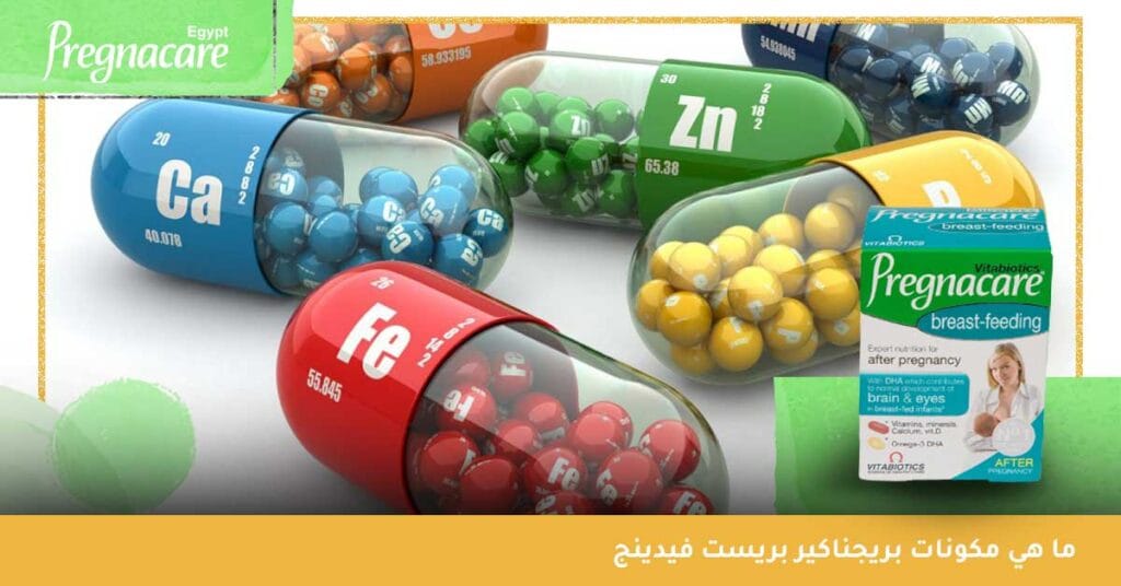 ما هي مكونات بريجناكير بريست فيدينج