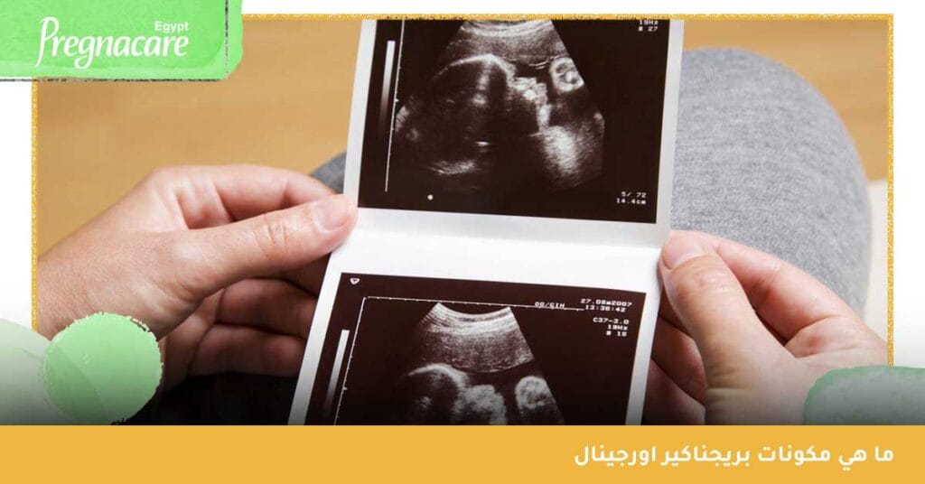 ما هي مكونات بريجناكير اورجينال