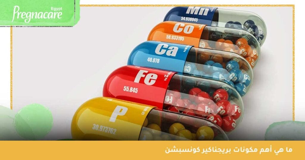 ما هي أهم مكونات بريجناكير كونسبشن
