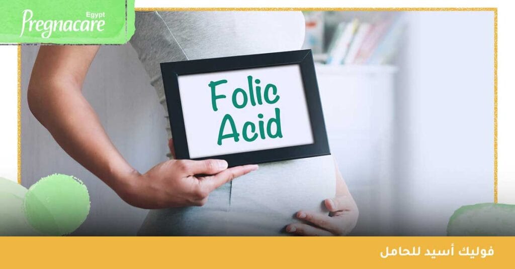اهمية الفوليك اسيد للحامل