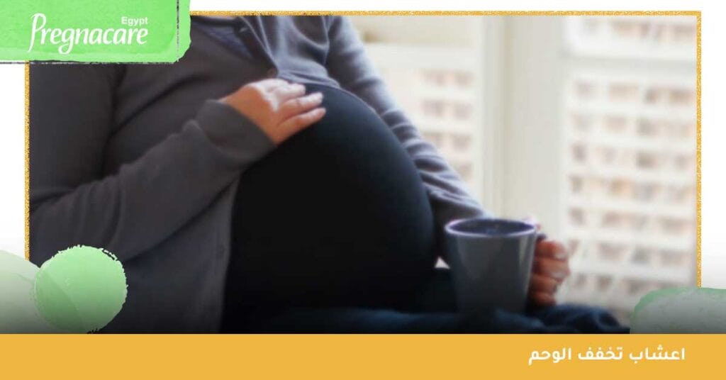 ما هي اعشاب تخفف الوحم ؟