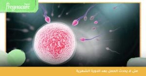 متى لا يحدث الحمل بعد الدورة الشهرية ؟