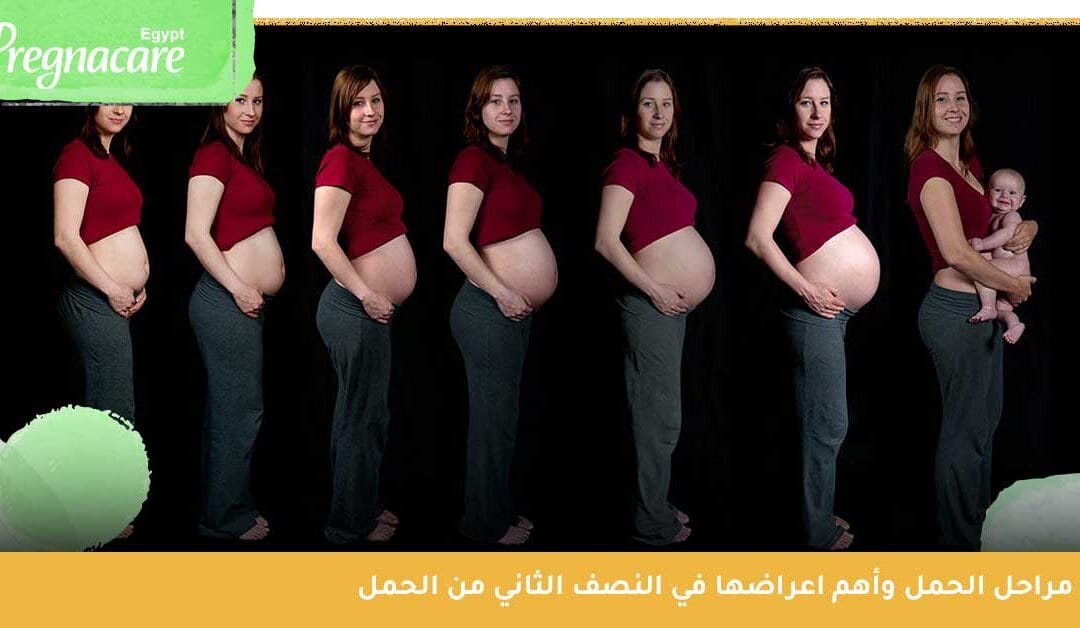 مراحل الحمل واعراضها | متى يظهر بطن الحامل؟ وهل حقًا الشهر الثامن أصعب شهر؟