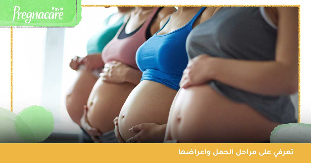مراحل الحمل واعراضها | تعرفي على مراحل تكوين الجنين في النصف الأول من الحمل وتأثير كل مرحلة على الأم