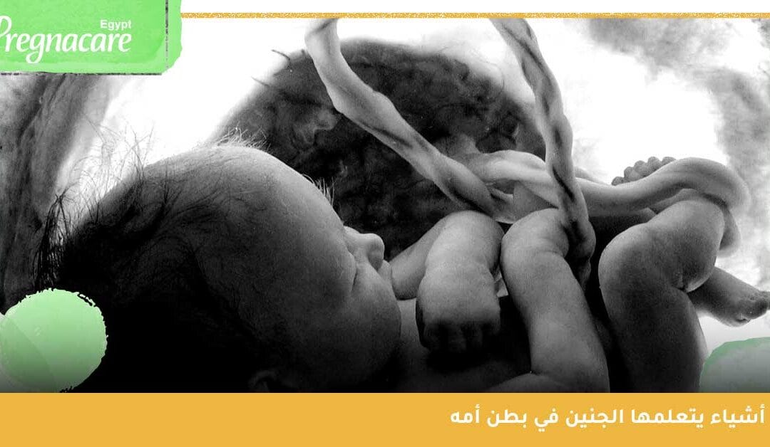 أشياء يتعلمها الجنين في بطن أمه | 3 مهارات يكتسبها الطفل في الرحم