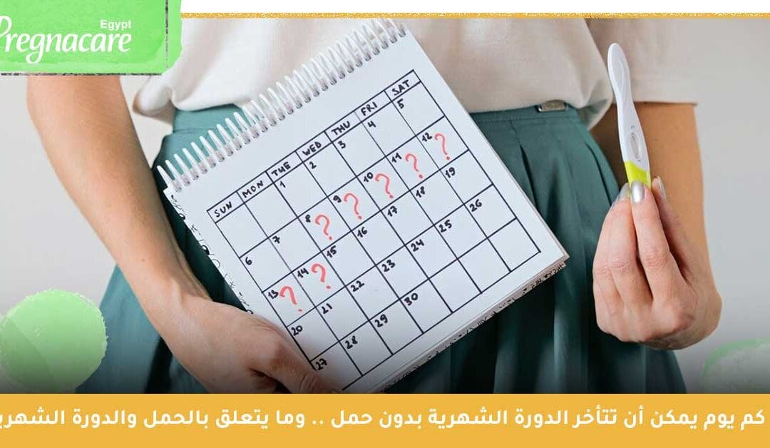 كم يوم يمكن أن تتأخر الدورة الشهرية بدون حمل .. وما يتعلق بالحمل والدورة الشهرية