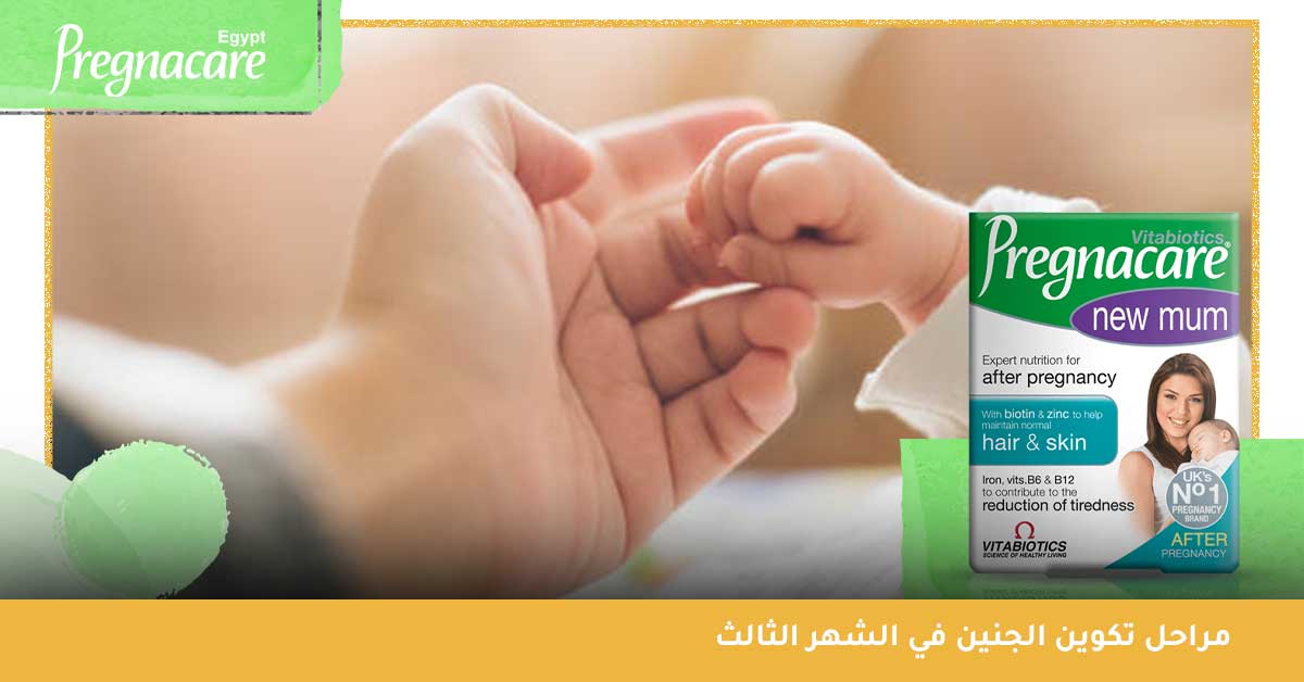 متى يبدأ مفعول بريجناكير بعد الولادة؟