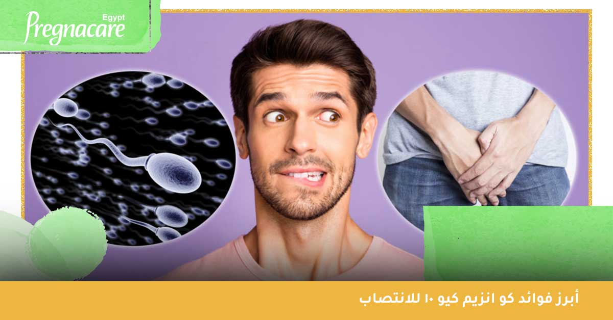 أهم فوائد كو انزيم كيو 10 للرجال