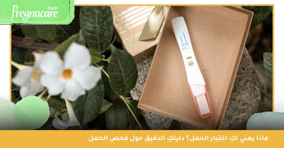 ماذا يعني لكِ اختبار الحمل؟ دليل المرأة الدقيق حول فحص الحمل ونتائجه - تست الحمل - اختبار الحمل المنزلي - تحليل حمل منزلي - تحليل التبويض - HCG تحليل الحمل
