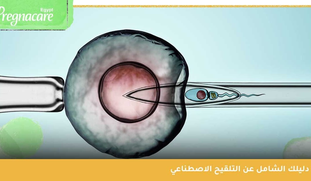 كل ما تريد معرفته التلقيح الصناعي للرحم وما هي نسب نجاحه؟