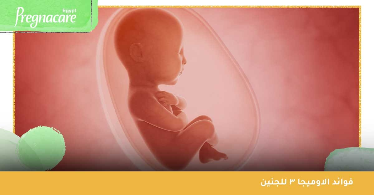 ما فوائد الاوميجا 3 للجنين؟