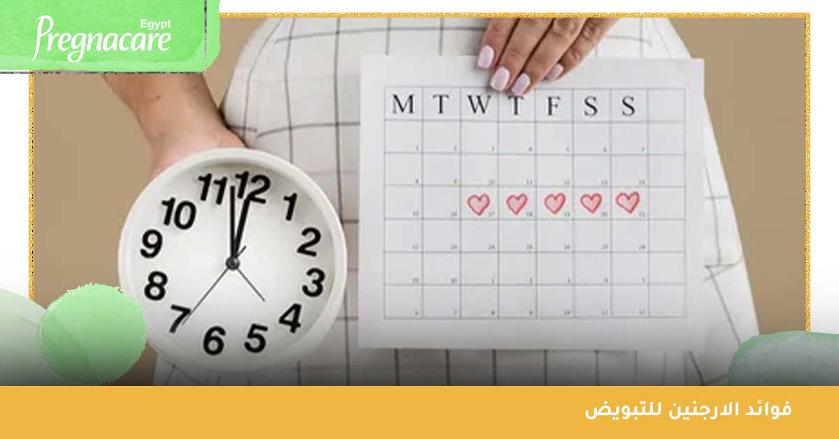 ما فوائد الارجنين للتبويض؟