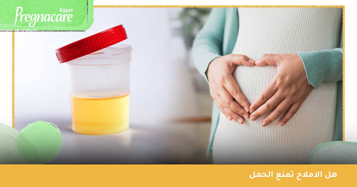 املاح البول والحمل-هل الاملاح تمنع الحمل-الأملاح والحمل