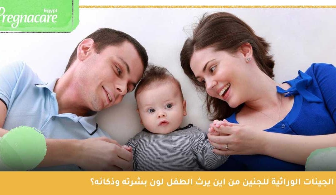 ما الصفات التي يرثها الطفل عن والده ووالدته؟ وهل بالفعل يرث الذكاء من الأم؟