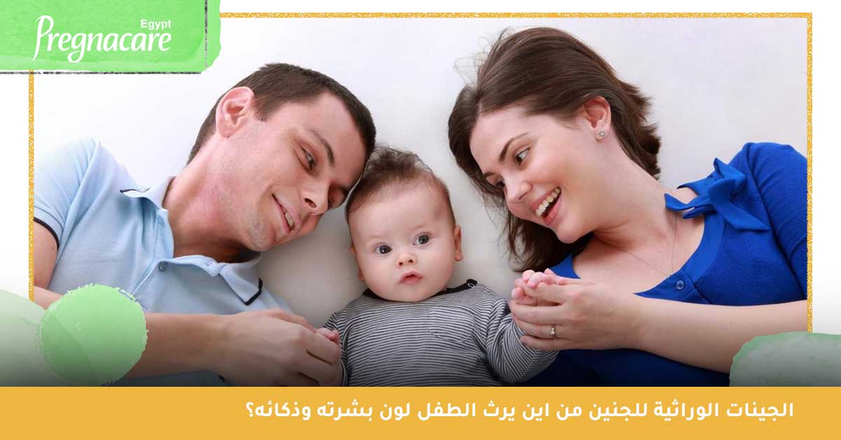 الجينات-الوراثية-للجنين الجينات الوراثية للجنين : من اين يرث الطفل لون بشرته وذكائه؟