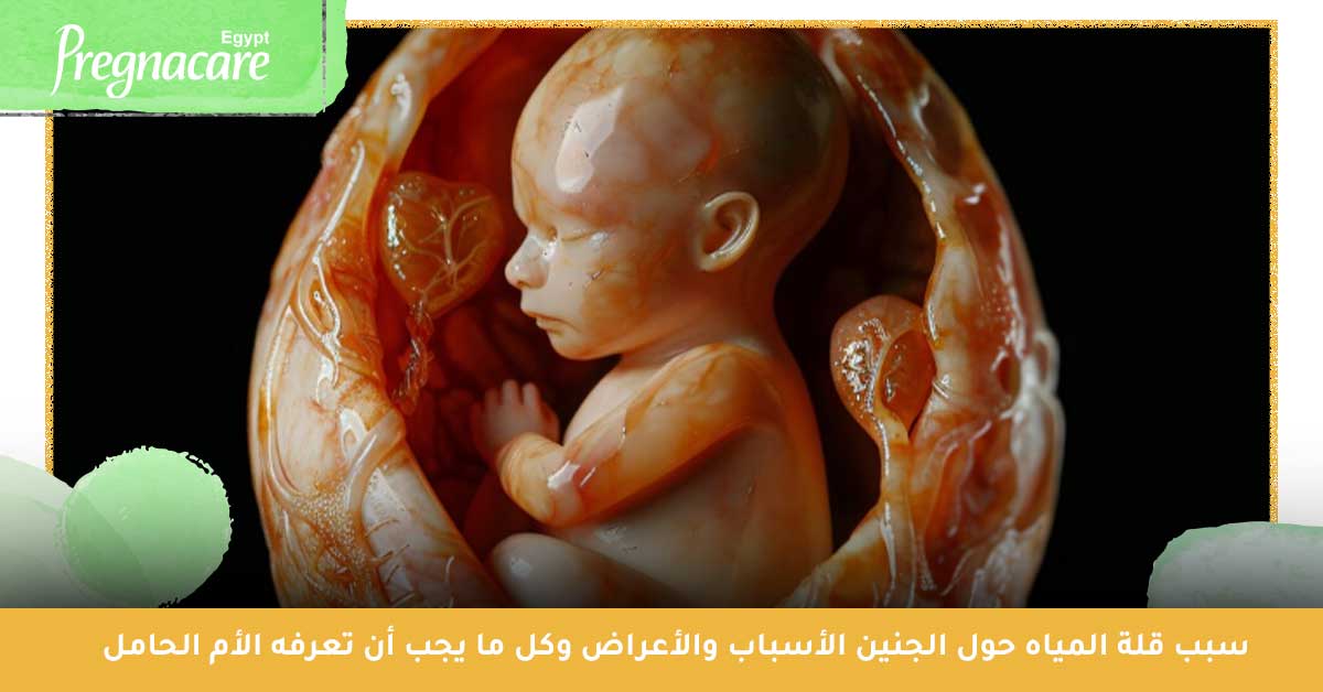 سبب قلة المياه حول الجنين: الأسباب والأعراض وكل ما يجب أن تعرفه الأم الحامل - نقص المياه حول الجنين - كم يعيش الجنين بعد نزول الماء في الشهر السابع - نقص الماء حول الجنين في الشهر الثامن - كم يعيش الجنين بعد نزول الماء في الشهر الثامن - تجربتي مع نقص ماء الجنين في الشهر التاسع - متى يكون نقص ماء الجنين خطر - كيف نعوض نقص ماء الجنين - هل نقص ماء الجنين يسبب الوفاة - زيادة الماء حول الجنين بدون سبب - تجربتي مع زيادة الماء حول الجنين